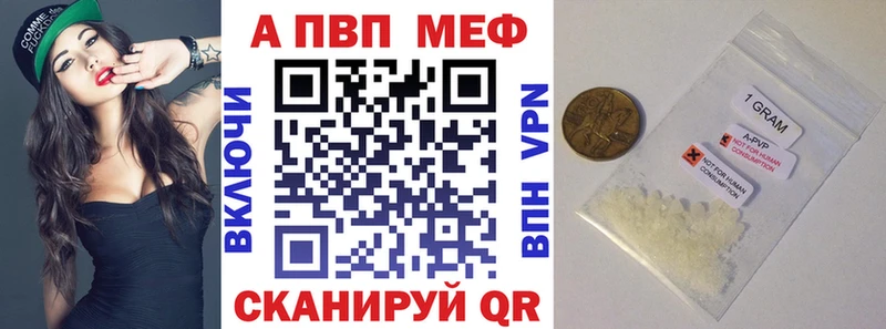 A PVP СК Новокузнецк