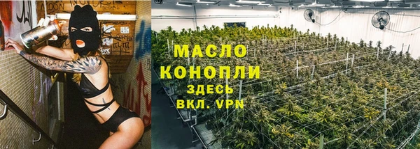 гидра Горно-Алтайск
