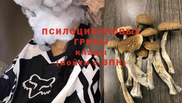 соль ск Горняк
