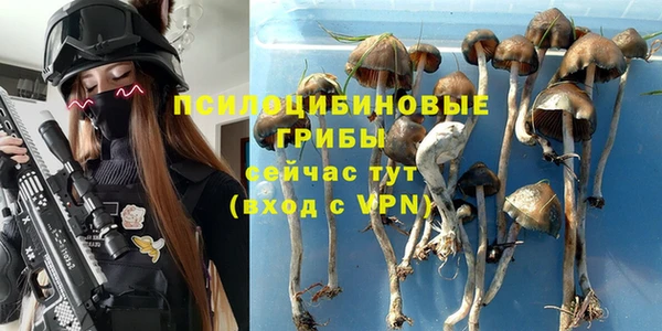 a pvp Гусев