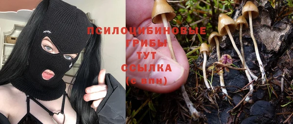 a pvp Гусев