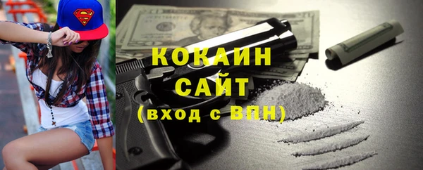 гидра Горно-Алтайск