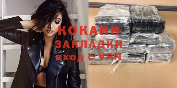 гидра Горно-Алтайск