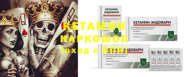 гидра Горно-Алтайск