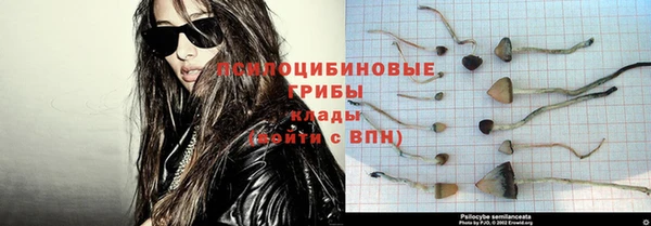 соль ск Горняк