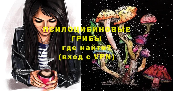 гидра Горно-Алтайск